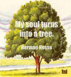 My soul turns into a tree